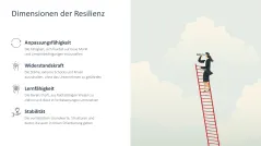 Organisationale Resilienz 