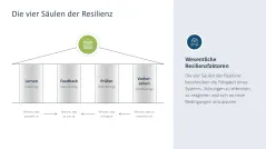 Organisationale Resilienz 