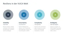Organisationale Resilienz 