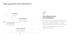 Organisationale Resilienz 