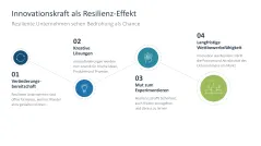 Organisationale Resilienz 
