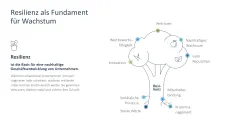 Organisationale Resilienz 