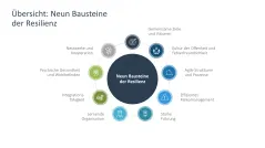 Organisationale Resilienz 