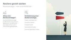 Organisationale Resilienz 