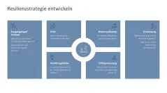 Organisationale Resilienz 