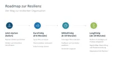 Organisationale Resilienz 