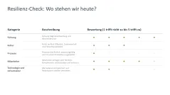 Organisationale Resilienz 