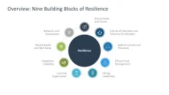 Organizational Resilience 