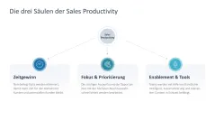 Sales Productivity 