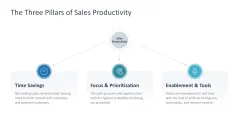 Sales Productivity 