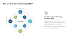 Community Management 