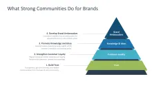 Community Management 
